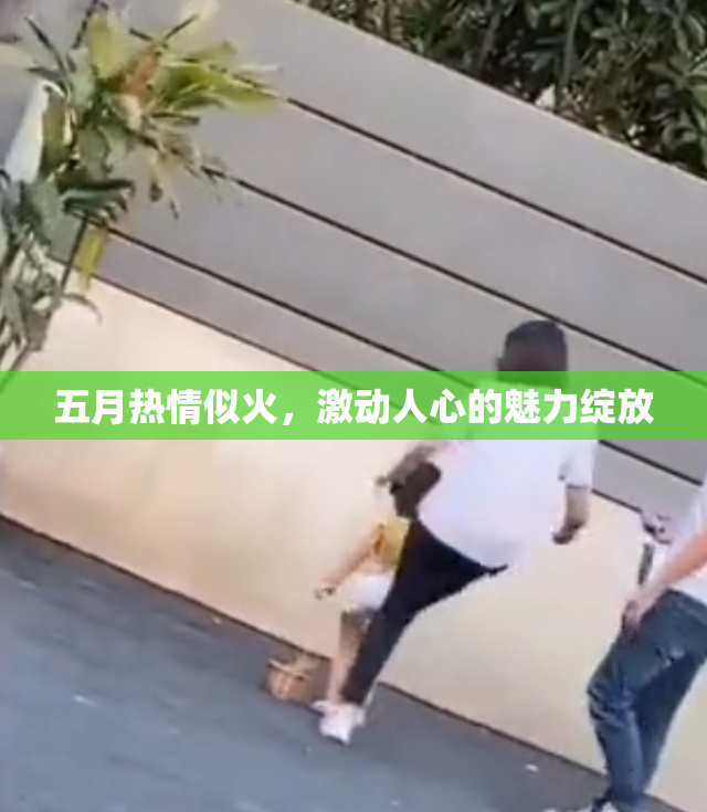 五月热情似火，激动人心的魅力绽放