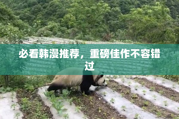 必看韩漫推荐，重磅佳作不容错过