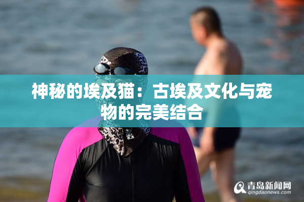神秘的埃及猫：古埃及文化与宠物的完美结合