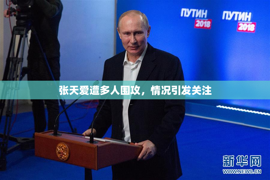 张天爱遭多人围攻，情况引发关注