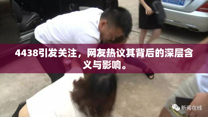 4438引发关注，网友热议其背后的深层含义与影响。