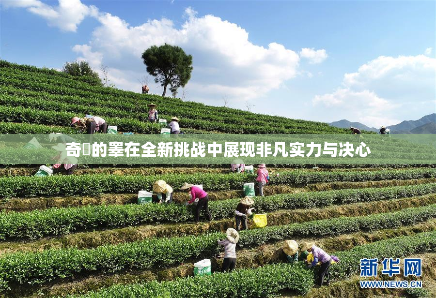 奇犽的睾在全新挑战中展现非凡实力与决心
