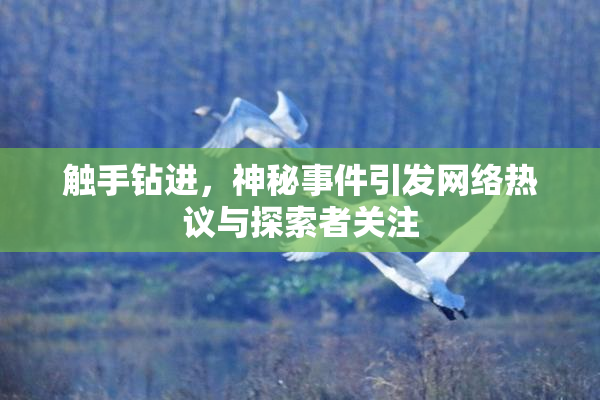 触手钻进，神秘事件引发网络热议与探索者关注