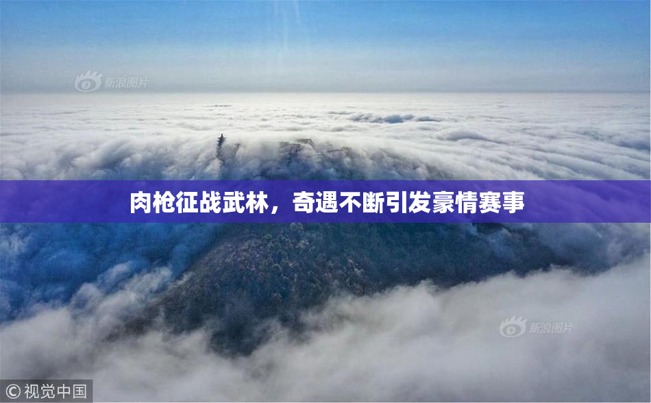 肉枪征战武林，奇遇不断引发豪情赛事