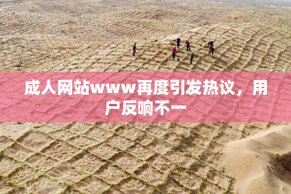 成人网站www再度引发热议，用户反响不一