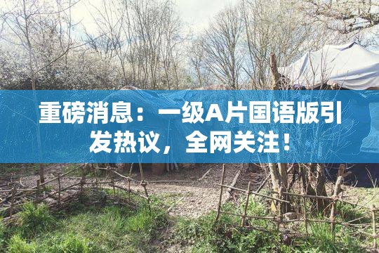 重磅消息：一级A片国语版引发热议，全网关注！