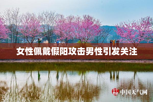 女性佩戴假阳攻击男性引发关注