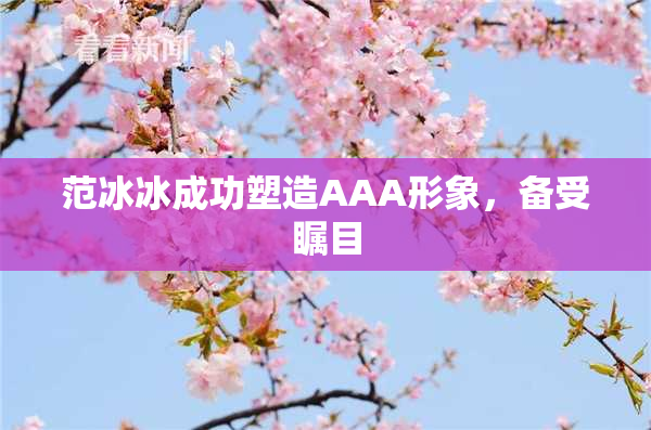 范冰冰成功塑造AAA形象，备受瞩目