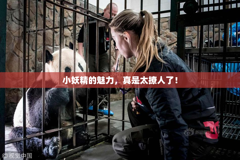 小妖精的魅力，真是太撩人了！