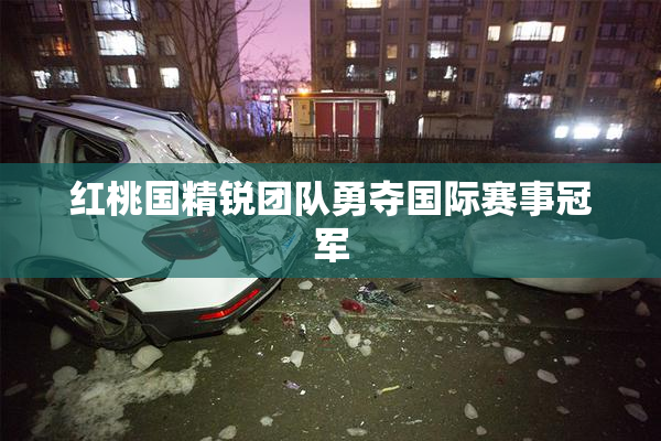 红桃国精锐团队勇夺国际赛事冠军
