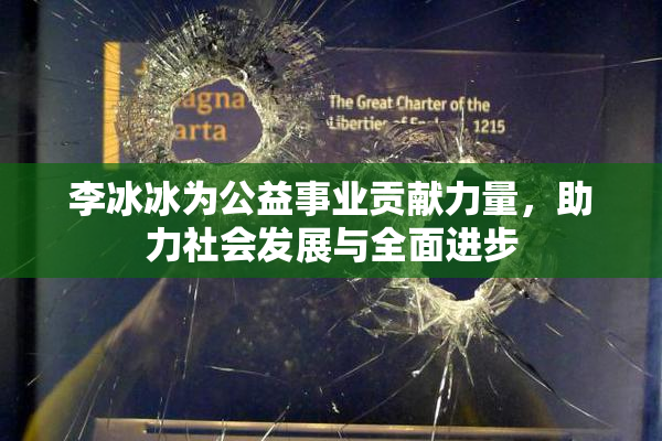 李冰冰为公益事业贡献力量，助力社会发展与全面进步