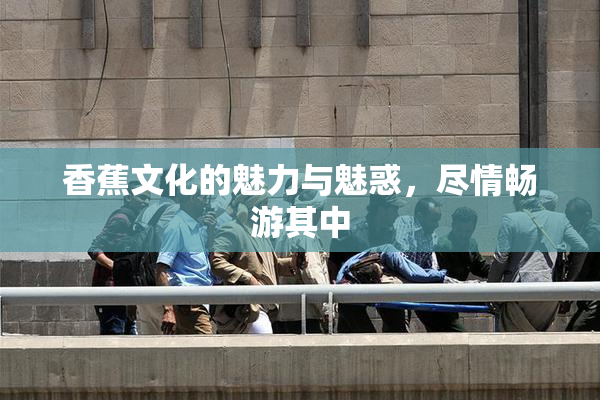 香蕉文化的魅力与魅惑，尽情畅游其中