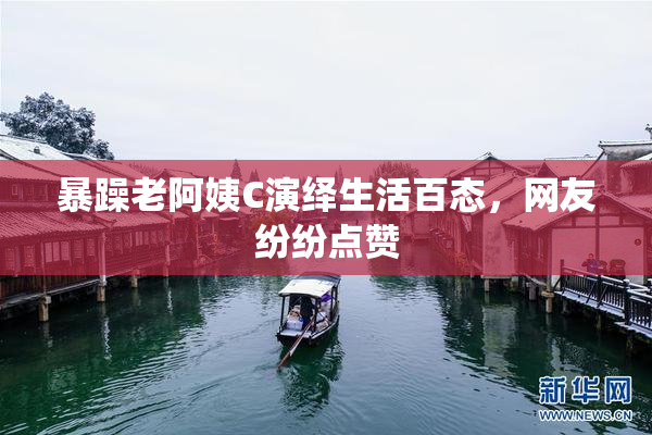 暴躁老阿姨C演绎生活百态，网友纷纷点赞