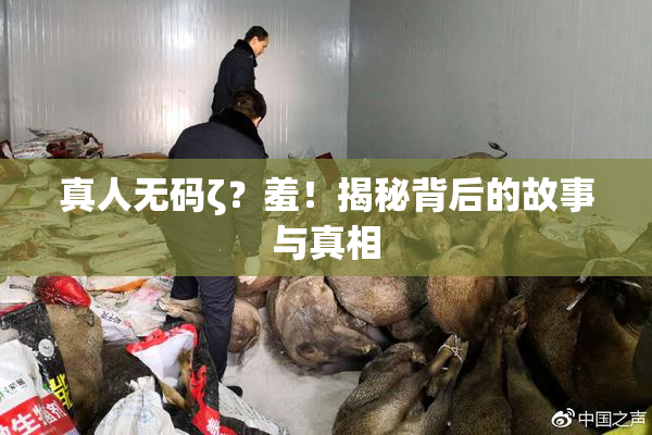 真人无码ζ？羞！揭秘背后的故事与真相