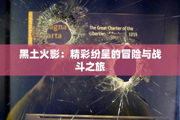 黑土火影：精彩纷呈的冒险与战斗之旅