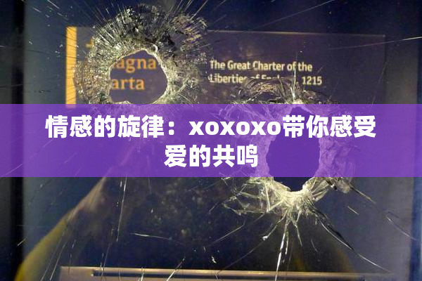 情感的旋律：xoxoxo带你感受爱的共鸣