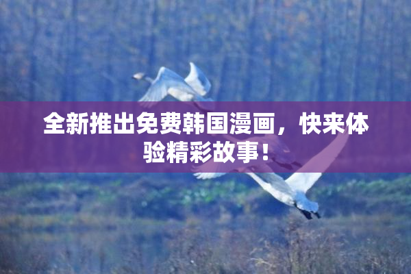 全新推出免费韩国漫画，快来体验精彩故事！