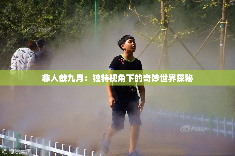 非人哉九月：独特视角下的奇妙世界探秘