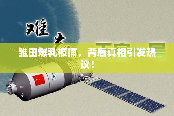 雏田爆乳被捕，背后真相引发热议！
