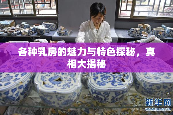 各种乳房的魅力与特色探秘，真相大揭秘