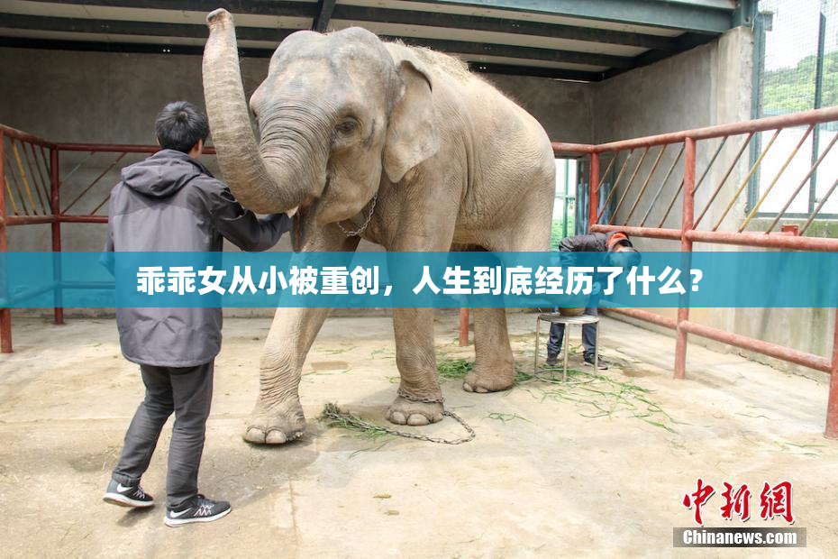 乖乖女从小被重创，人生到底经历了什么？
