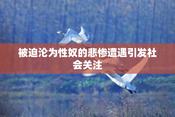 被迫沦为性奴的悲惨遭遇引发社会关注
