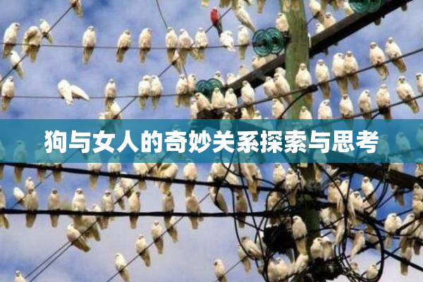 狗与女人的奇妙关系探索与思考