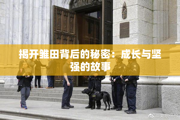 揭开雏田背后的秘密：成长与坚强的故事