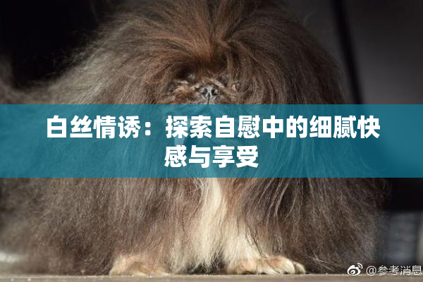 白丝情诱：探索自慰中的细腻快感与享受