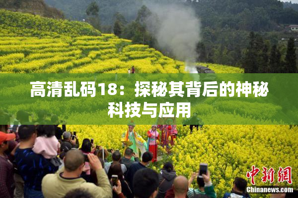 高清乱码18：探秘其背后的神秘科技与应用