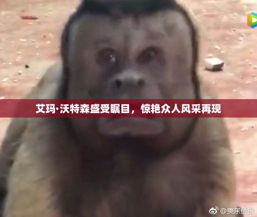 艾玛·沃特森盛受瞩目，惊艳众人风采再现
