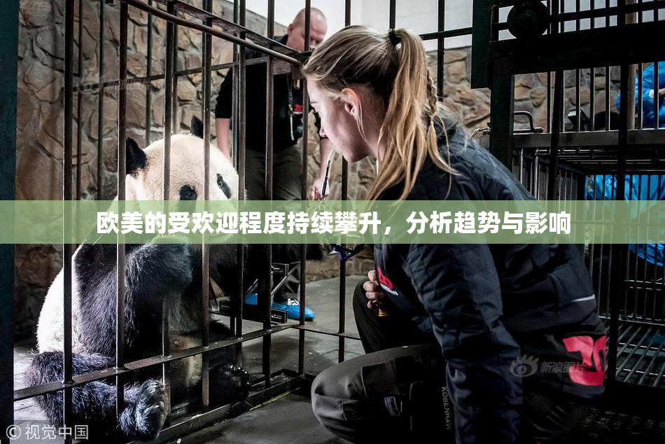 欧美的受欢迎程度持续攀升，分析趋势与影响