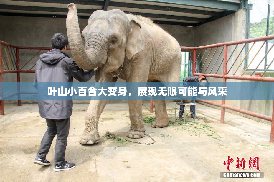 叶山小百合大变身，展现无限可能与风采