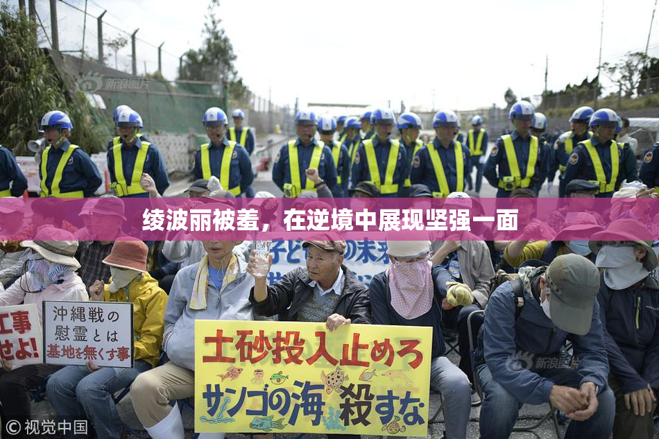 绫波丽被羞，在逆境中展现坚强一面
