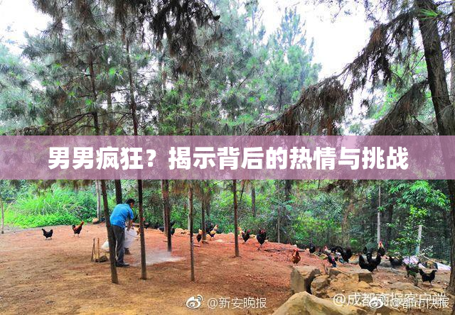 男男疯狂？揭示背后的热情与挑战