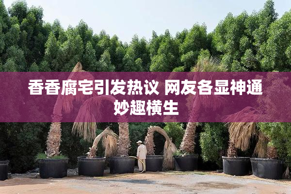 香香腐宅引发热议 网友各显神通妙趣横生