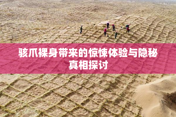 骇爪裸身带来的惊悚体验与隐秘真相探讨