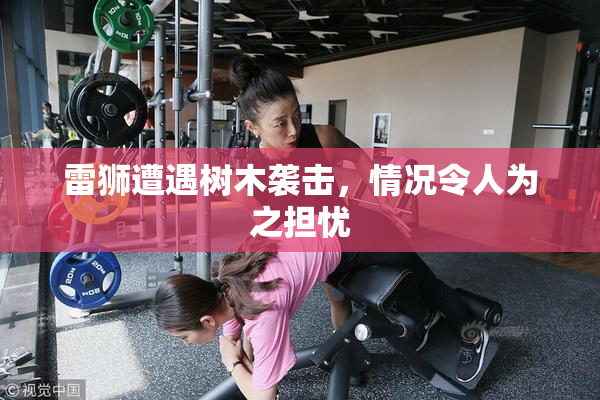 雷狮遭遇树木袭击，情况令人为之担忧