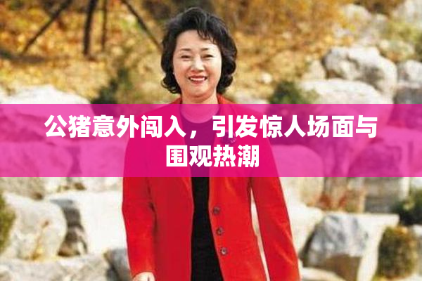 公猪意外闯入，引发惊人场面与围观热潮