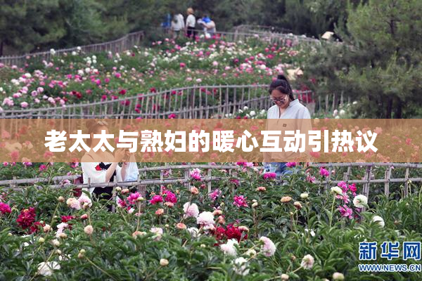 老太太与熟妇的暖心互动引热议
