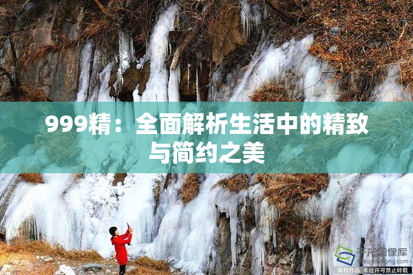 999精：全面解析生活中的精致与简约之美