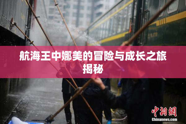 航海王中娜美的冒险与成长之旅揭秘
