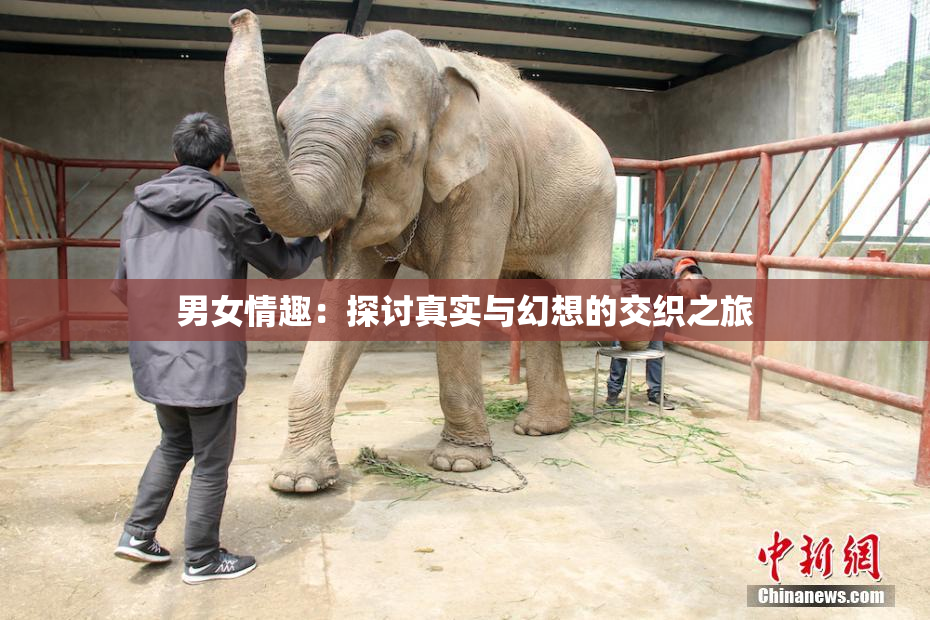 男女情趣：探讨真实与幻想的交织之旅