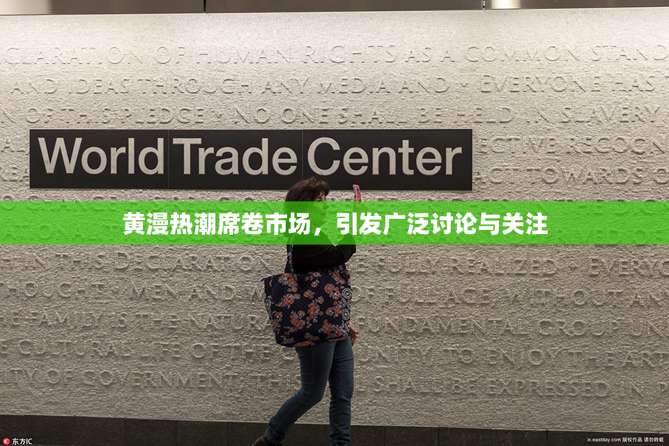 黄漫热潮席卷市场，引发广泛讨论与关注