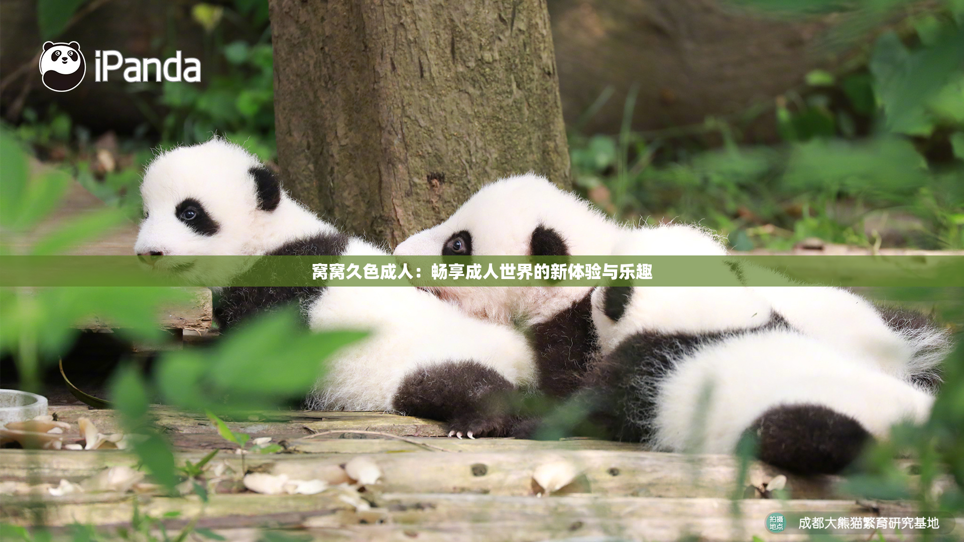 窝窝久色成人：畅享成人世界的新体验与乐趣
