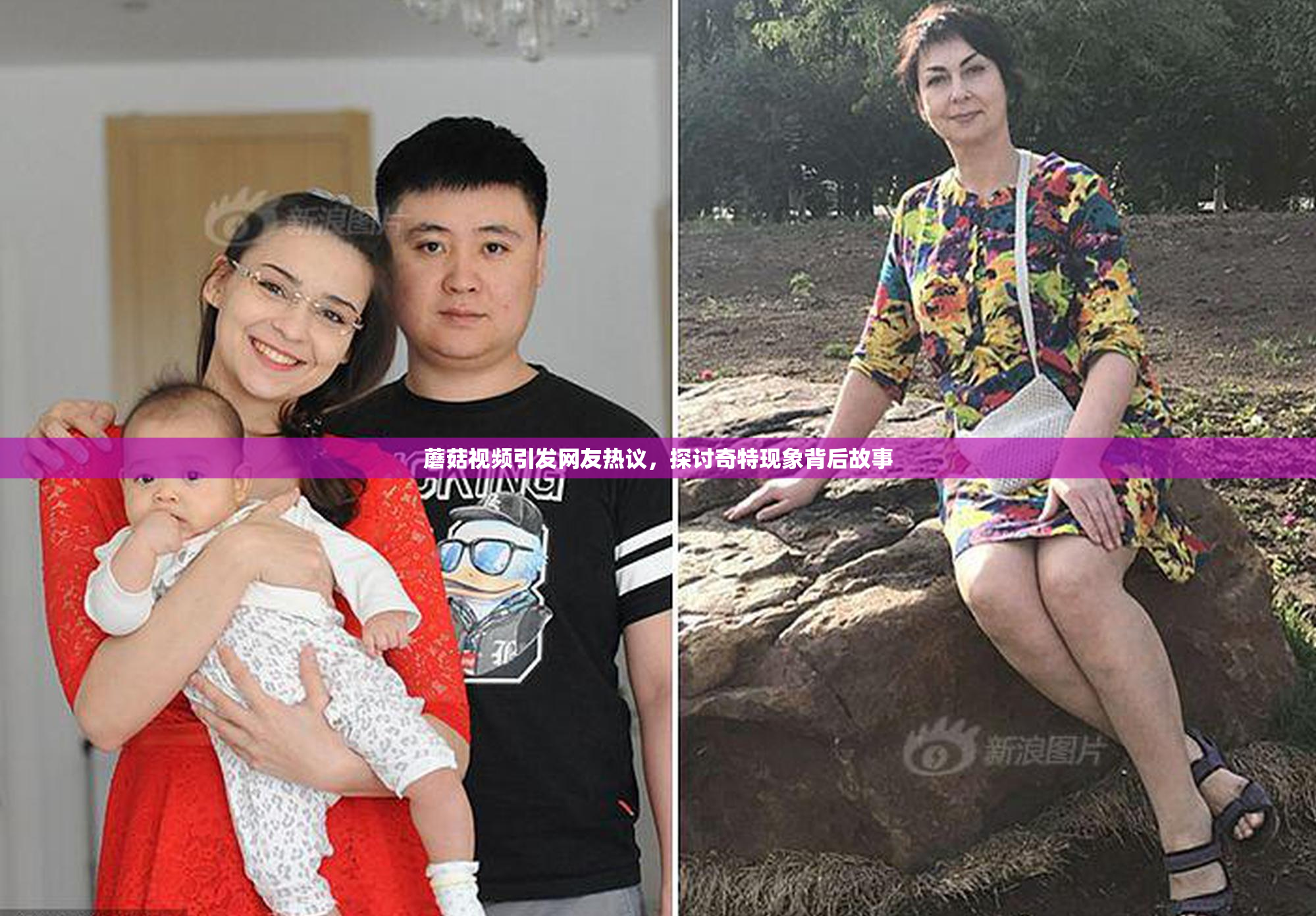蘑菇视频引发网友热议，探讨奇特现象背后故事