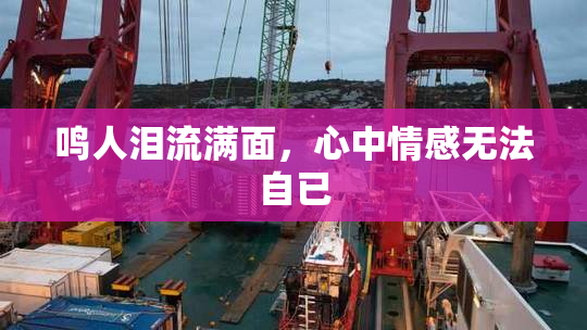 鸣人泪流满面，心中情感无法自已