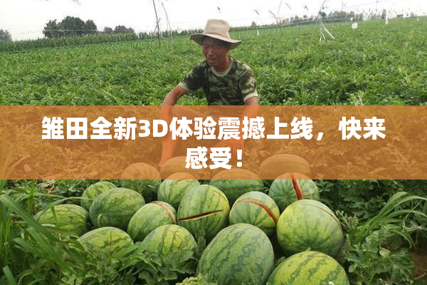 雏田全新3D体验震撼上线，快来感受！