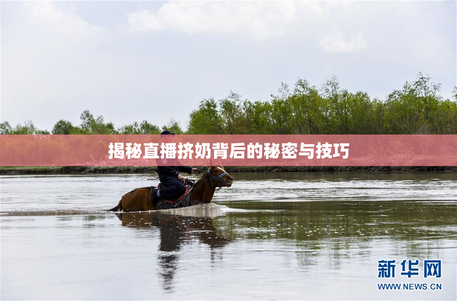 揭秘直播挤奶背后的秘密与技巧