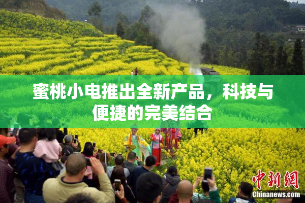 蜜桃小电推出全新产品，科技与便捷的完美结合